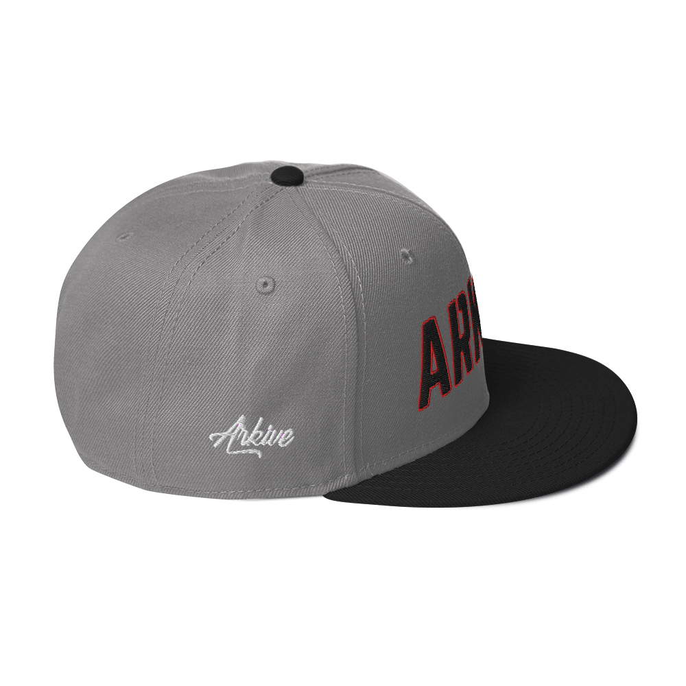 ARKIVE - ORG Snapback Hat